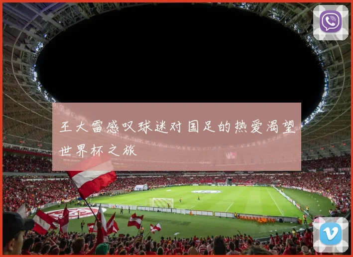 王大雷感叹球迷对国足的热爱渴望世界杯之旅